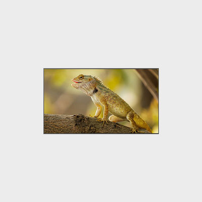 2000nits Wysoka jasność 3840*2160 98-calowy wyświetlacz LCD dla optymalnej wydajności