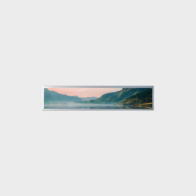 190,2-calowy wyświetlacz LCD 1920*360 LVDS 500nits