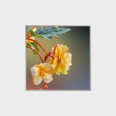 33.2 cali kwadratowy wyświetlacz LCD 420nits Moduł LCD LVDS dla centrów handlowych