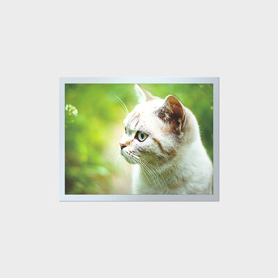 15-calowy wyświetlacz LCD TFT o wysokiej jasności i długiej żywotności do przemysłowych paneli przyrządów