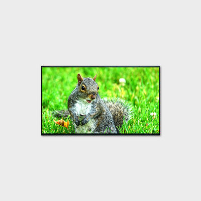 LCMA-RX0430GB03-Z200 43" LCD Screen with 1920*1080 Resolution and High Brightness of 2000nits