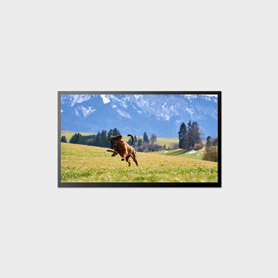 23.8 inch LCD Display Support Outdoor Application With LVDS Interface Connector LCMA-RX0238GA01-C150