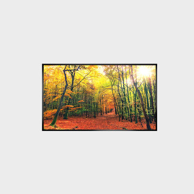 Ekran LCD 43-calowy Panel LCD 1000nits rozdzielczość 3840*2160 LCMA-RX0430GL19-Z100