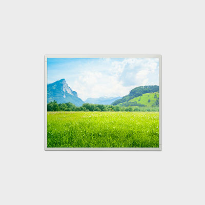 19calowe rozdzielczość LCD z rozdzielczością 1280*1024 500nits Jasność LCMA-RX0190GB01-C050