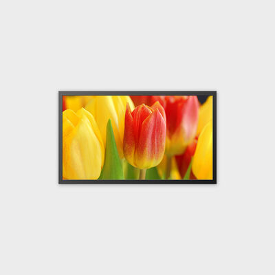 32-calowa maszyna TFT LCD, ładowalna, z obsługą systemu Android 13.0
