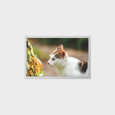 Wyświetlacz TFT o przekątnej 12,1 cala z wyświetlaczem LCD o niskim zużyciu energii do przenośnych urządzeń medycznych