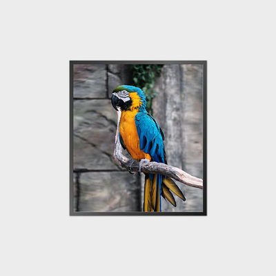 Wysokiej kontrastu kwadratowy panel LCD 35,6 cali 950*1080 500nit Z systemem Android