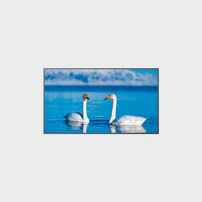 65-calowy panel LCD o wysokiej jasności 1920*1080 2000nits LCMA-RX0650GB08-Z200