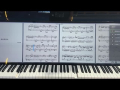 49Wyświetlacz LCD typu 0,5 cala LCMA-RX0495TL01-C025 2500Nits