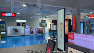 Rogin's Show Room — moduł LCD Full-HD dla małych i średnich rozmiarów